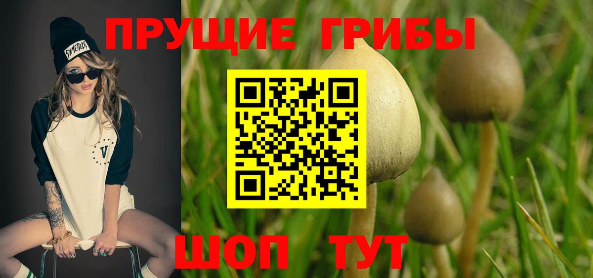 Ярославль  Галлюциногенные грибы GOLDEN TEACHER  Вход с VPN 